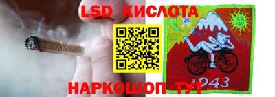 индика Берёзовский