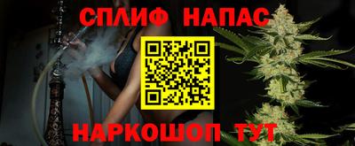 индика Берёзовский